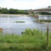 Loire bei St. Thibault